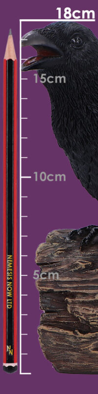 Nemesis Now Ravens Cry 18cm Figurines Medium (15-29cm) 2