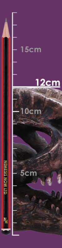 Nemesis Now Dilophosaurus Skull 16cm Figurines Medium (15-29cm) 2