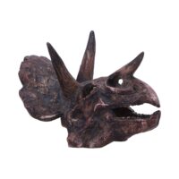 Nemesis Now Triceratops Skull 14.5cm Figurines Medium (15-29cm)