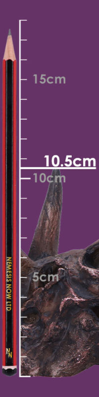 Nemesis Now Triceratops Skull 14.5cm Figurines Medium (15-29cm) 2