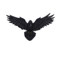 Nemesis Now Flight of the Raven Wall Hanging Decoration 35cm Home Décor