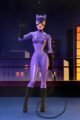 PRE-ORDER NECA Toony Classics DC Comics Series 2 Catwoman Action Figure Toony Terrors 8