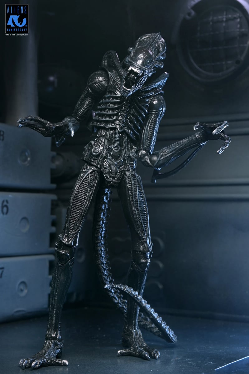 PRE-ORDER NECA Aliens (1986) 40th Anniversary Warrior Xenomorph (Black) Ultimate 7 Inch Scale Action Figure 7" Figures 23 PRE-ORDER NECA Aliens (1986) 40th Anniversary Warrior Xenomorph (Black) Ultimate 7 Inch Scale Action Figure 7" Figures 23