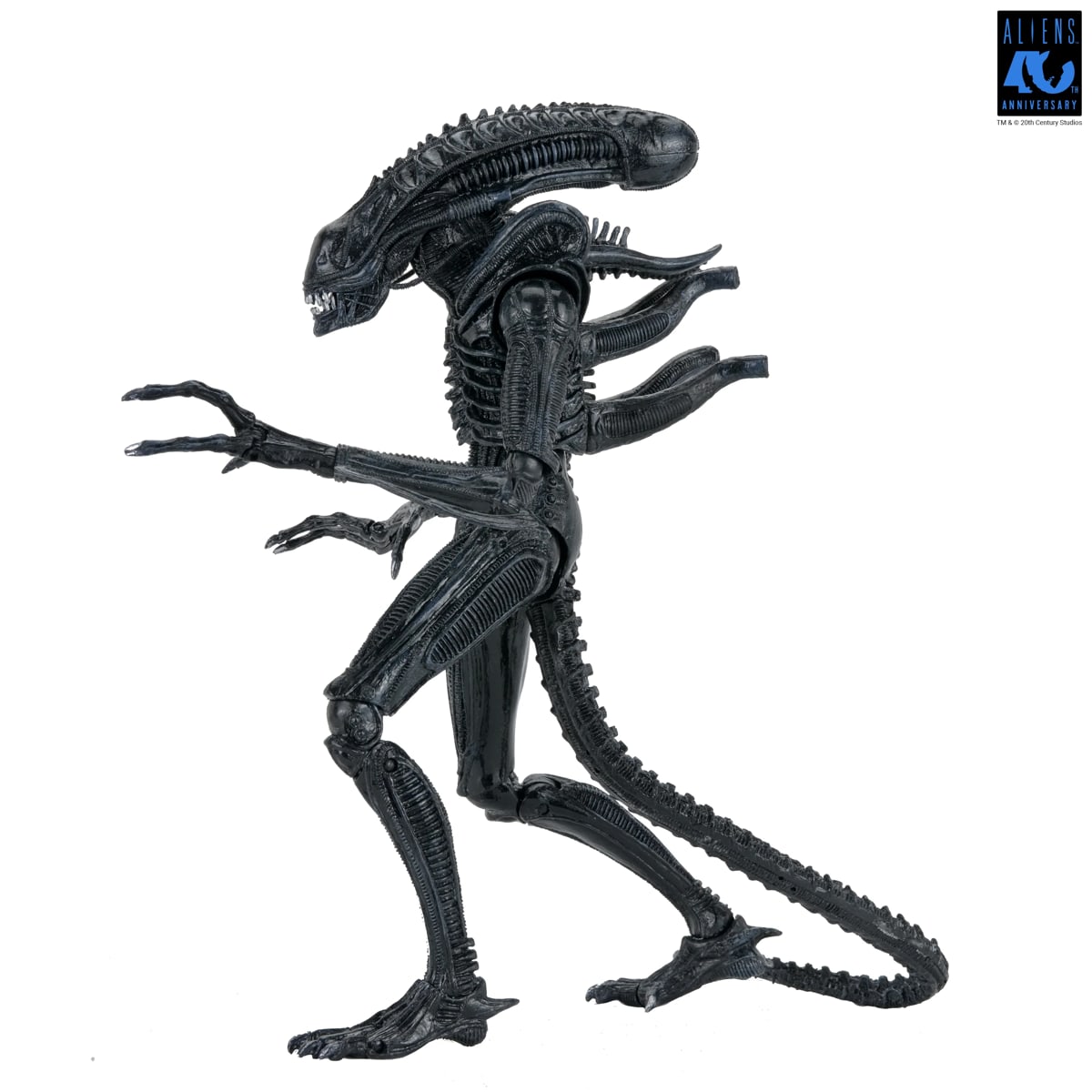 PRE-ORDER NECA Aliens (1986) 40th Anniversary Warrior Xenomorph (Black) Ultimate 7 Inch Scale Action Figure 7" Figures 7 PRE-ORDER NECA Aliens (1986) 40th Anniversary Warrior Xenomorph (Black) Ultimate 7 Inch Scale Action Figure 7" Figures 7