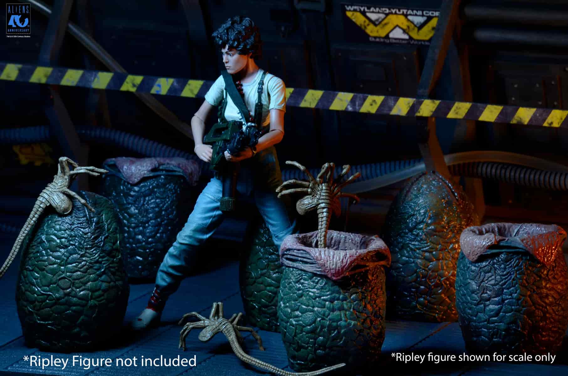 PRE-ORDER NECA Aliens (1986) 40th Anniversary Carton Of Alien Eggs Accessory 6-pack 7" Figures 17 PRE-ORDER NECA Aliens (1986) 40th Anniversary Carton Of Alien Eggs Accessory 6-pack 7" Figures 17
